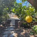 El Sayon 坎德拉里亚