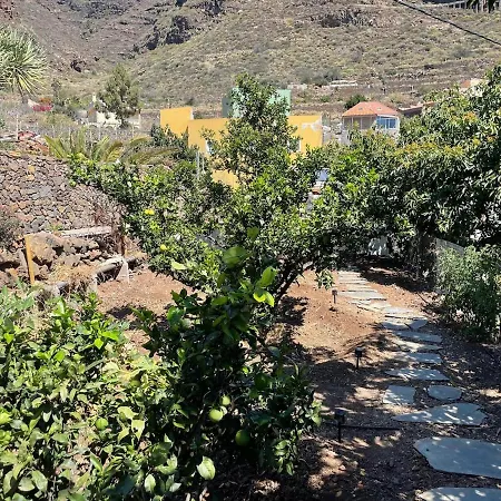 Holiday home El Sayon